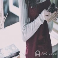 2019年新加坡留学的优势AOLevel考试资讯网_A-Level与O-Level考试培训网