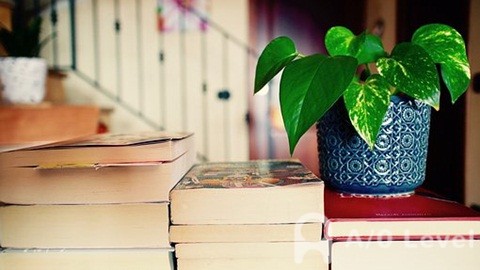 A-Level课程最易上手的体系AOLevel考试资讯网_A-Level与O-Level考试培训网