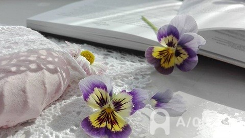 O-Level写作中三个注意点！AOLevel考试资讯网_A-Level与O-Level考试培训网