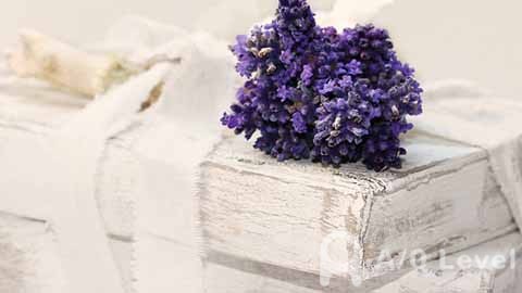 如何用A-Level成绩申请美国大学？AOLevel考试资讯网_A-Level与O-Level考试培训网