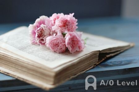 A-Level物理考试备考：声速的相关知识点AOLevel考试资讯网_A-Level与O-Level考试培训网