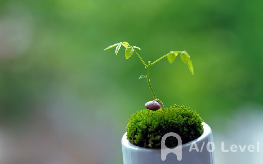 A-evel数学考试考查什么内容AOLevel考试资讯网_A-Level与O-Level考试培训网