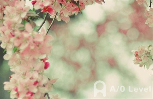 A-Level化学考试备考：烯烃相关知识点AOLevel考试资讯网_A-Level与O-Level考试培训网