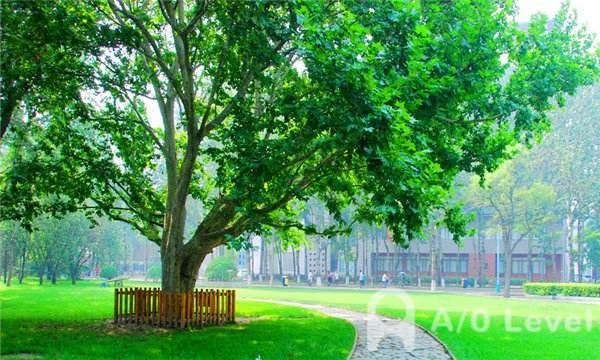 O-level考试如何备考才能获得高分AOLevel考试资讯网_A-Level与O-Level考试培训网