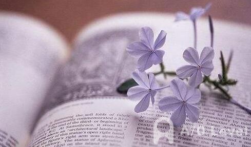 A-Level化学备考知识点：氧化还原反应与电解反应AOLevel考试资讯网_A-Level与O-Level考试培训网