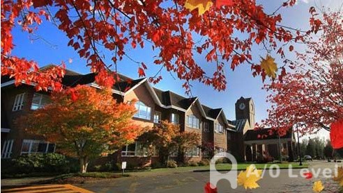 科普：A-level考试成绩如何查询AOLevel考试资讯网_A-Level与O-Level考试培训网