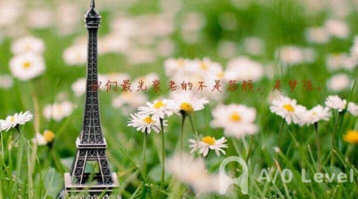 A-level地理考试如何备考AOLevel考试资讯网_A-Level与O-Level考试培训网