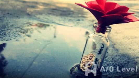 A-level考试时间不够用该怎么办？AOLevel考试资讯网_A-Level与O-Level考试培训网