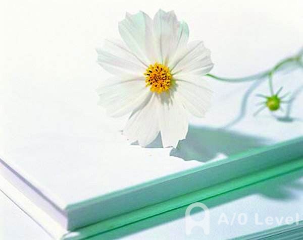 A-level经济考试技巧，小编吐血推荐AOLevel考试资讯网_A-Level与O-Level考试培训网