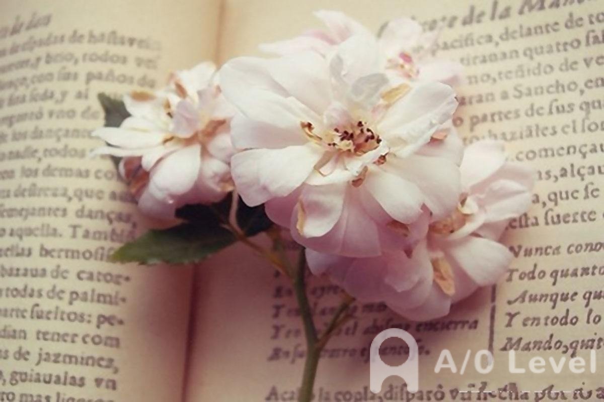 A-Level生物考试进化论知识点详解AOLevel考试资讯网_A-Level与O-Level考试培训网