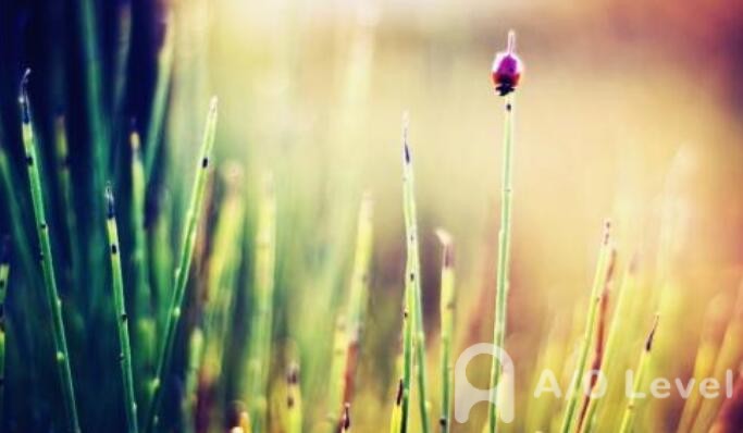 A-level数学课程备考需要掌握这些知识AOLevel考试资讯网_A-Level与O-Level考试培训网