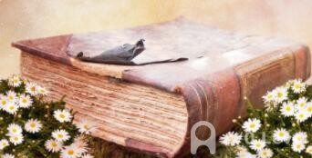 A-level中文考查内容介绍AOLevel考试资讯网_A-Level与O-Level考试培训网