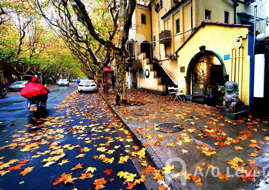 A-Level六大科目难易程序比较AOLevel考试资讯网_A-Level与O-Level考试培训网