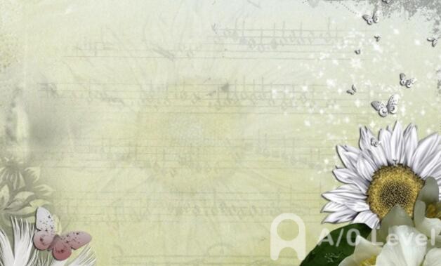 学好A-level物理课程，别错过这些书AOLevel考试资讯网_A-Level与O-Level考试培训网