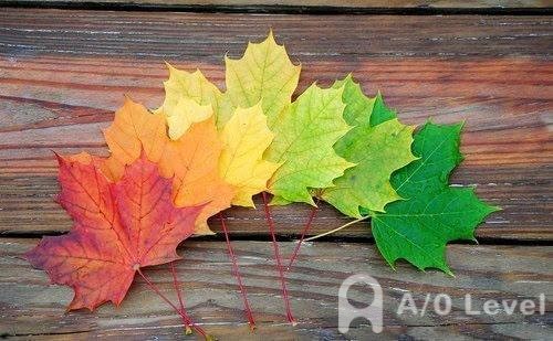 A-level考试如何能写出优秀的作文？AOLevel考试资讯网_A-Level与O-Level考试培训网