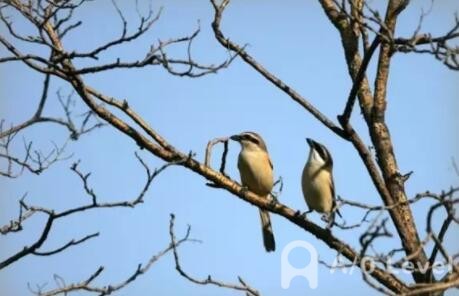 A-Level经济备考指导，考生必看AOLevel考试资讯网_A-Level与O-Level考试培训网