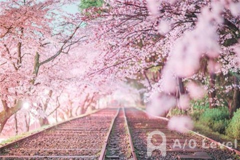 A-Level科学科目备考指导AOLevel考试资讯网_A-Level与O-Level考试培训网