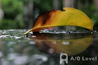 A-Level生物考试备考技巧AOLevel考试资讯网_A-Level与O-Level考试培训网