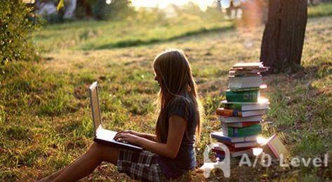 A-Level生物备考Essay写作秘籍AOLevel考试资讯网_A-Level与O-Level考试培训网