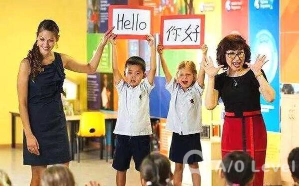 A-Level考试备考：会计”与“会计金融”的区别AOLevel考试资讯网_A-Level与O-Level考试培训网