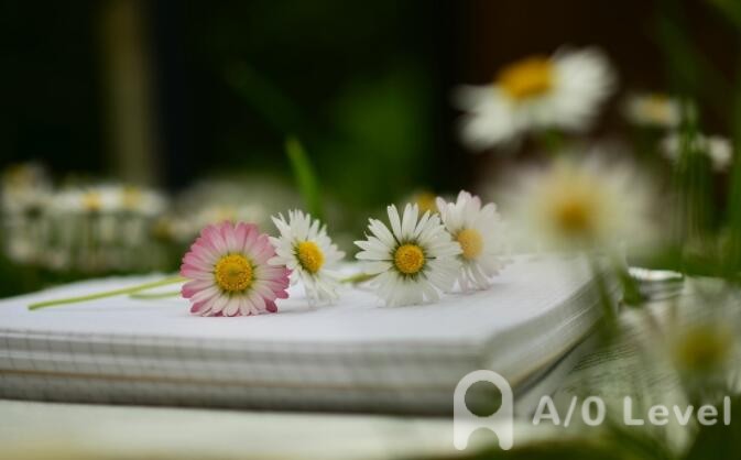  A-Level化学考试备考这些单词要记住AOLevel考试资讯网_A-Level与O-Level考试培训网