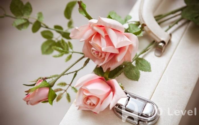 A-level物理复习建议，考生必看AOLevel考试资讯网_A-Level与O-Level考试培训网