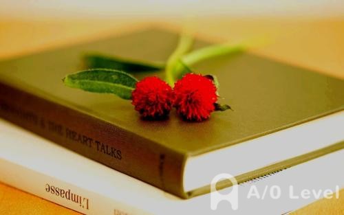 盘点A-level数学考试常用​词汇及公式AOLevel考试资讯网_A-Level与O-Level考试培训网