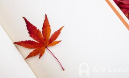 A-level数学考试考场的注意事项AOLevel考试资讯网_A-Level与O-Level考试培训网