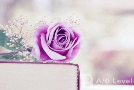 A-level考试可以重考吗？如何复习？AOLevel考试资讯网_A-Level与O-Level考试培训网