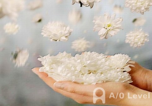 A-level数学考试高分备考方法AOLevel考试资讯网_A-Level与O-Level考试培训网