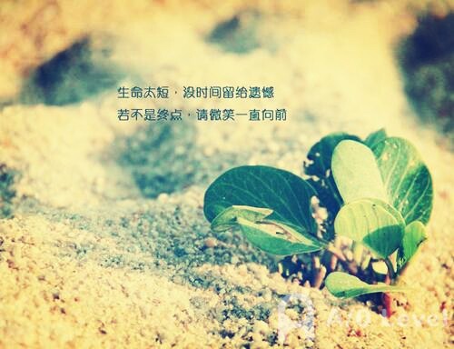 A-Level生物考试高分写作技巧AOLevel考试资讯网_A-Level与O-Level考试培训网