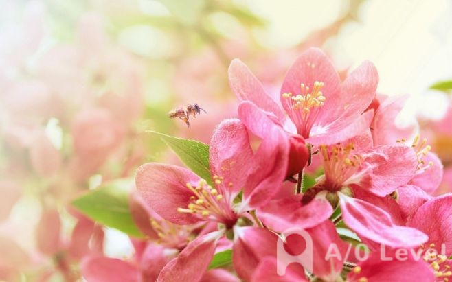 A-level考试备考：历年真题要这么用AOLevel考试资讯网_A-Level与O-Level考试培训网