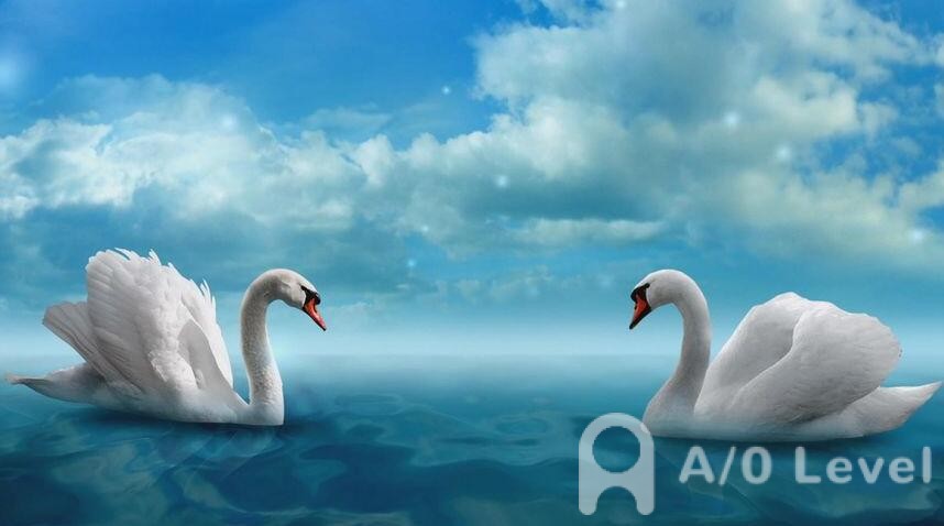 A-level计算机科学考试需要什么知识背景AOLevel考试资讯网_A-Level与O-Level考试培训网