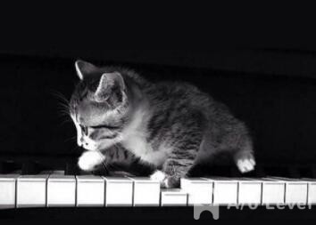 A-Level考试时间不够用高分值题做不完AOLevel考试资讯网_A-Level与O-Level考试培训网