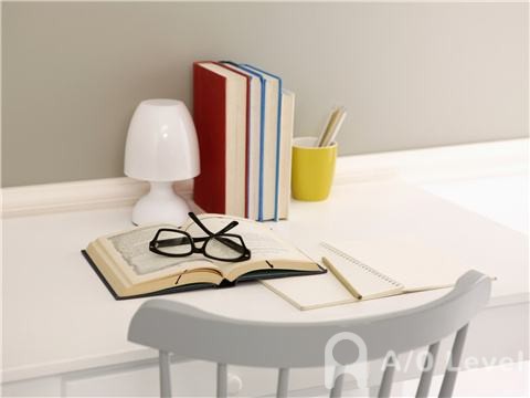 A-Level会计考试备考：电脑会计AOLevel考试资讯网_A-Level与O-Level考试培训网