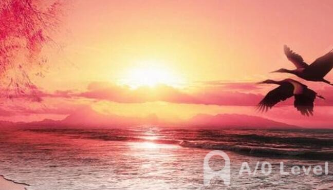 A-Level考试备考之易混淆的英语单词（1）AOLevel考试资讯网_A-Level与O-Level考试培训网