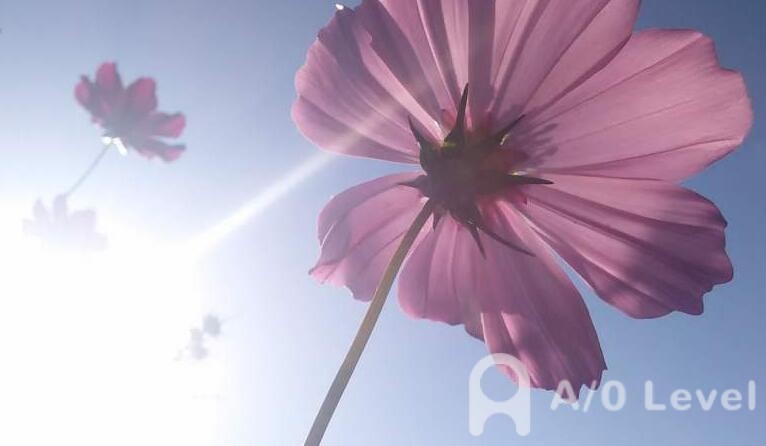 A-Level考试备考之易混淆的英语单词（2）AOLevel考试资讯网_A-Level与O-Level考试培训网