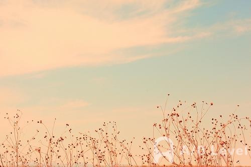 A-level考试有什么特点？你知道吗？AOLevel考试资讯网_A-Level与O-Level考试培训网