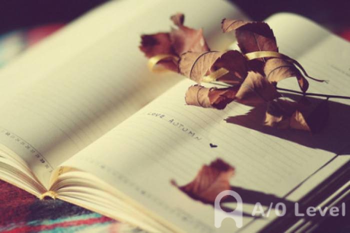 A-level物理考试粒子物理知识点简介AOLevel考试资讯网_A-Level与O-Level考试培训网