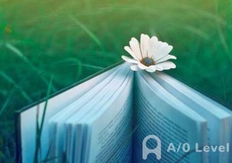 实例分析A-Level经济考试如何写essayAOLevel考试资讯网_A-Level与O-Level考试培训网