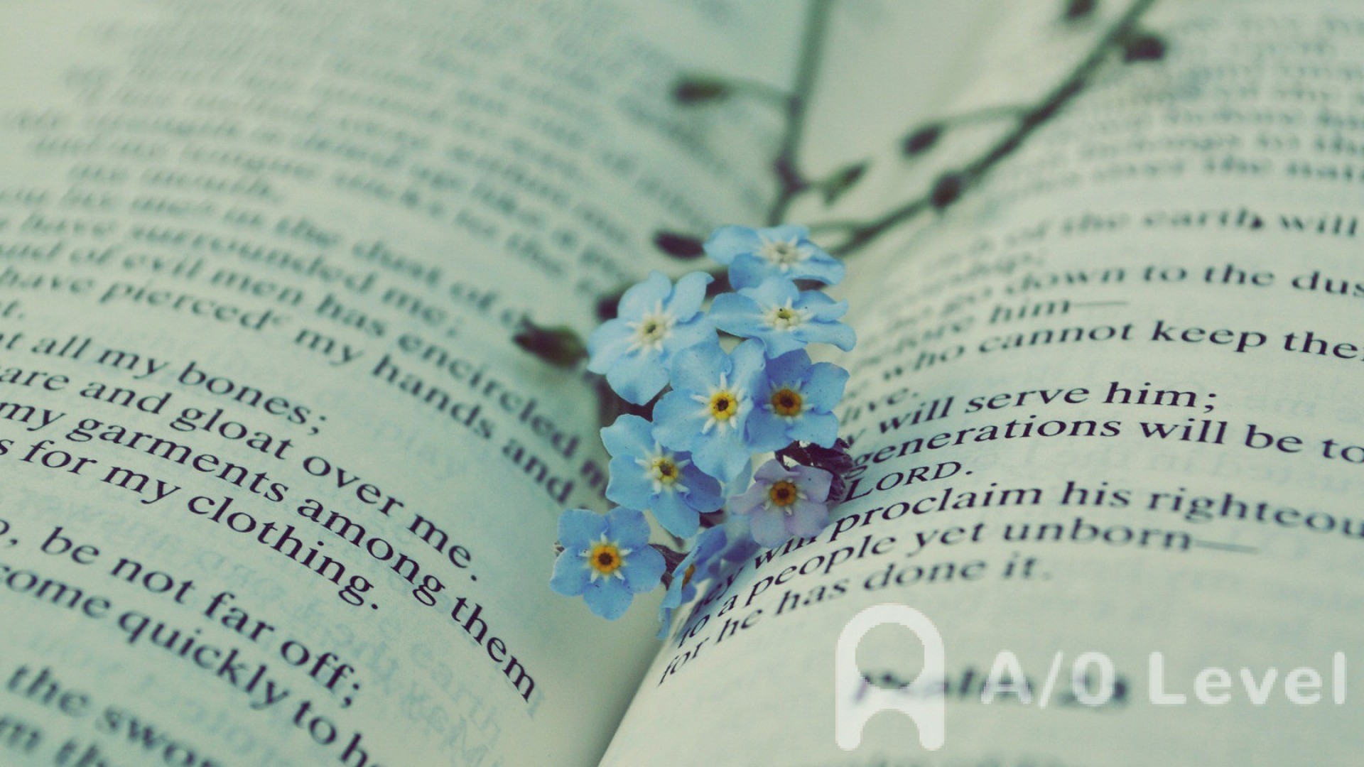 O-level化学考试经典考点分析AOLevel考试资讯网_A-Level与O-Level考试培训网