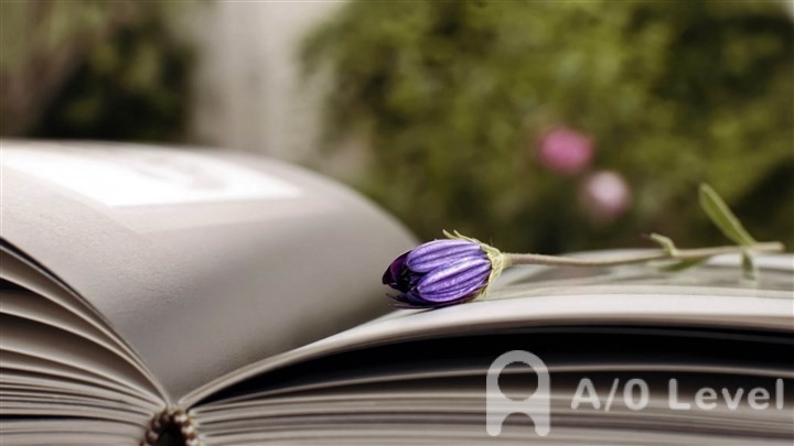 A-Level化学考试备考重要知识点介绍AOLevel考试资讯网_A-Level与O-Level考试培训网