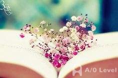 A-level数学考试​备考高分技巧AOLevel考试资讯网_A-Level与O-Level考试培训网