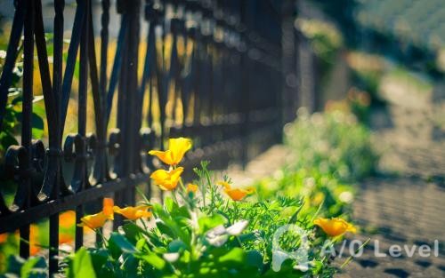 A-Level物理备考：牛顿第一定律答疑AOLevel考试资讯网_A-Level与O-Level考试培训网