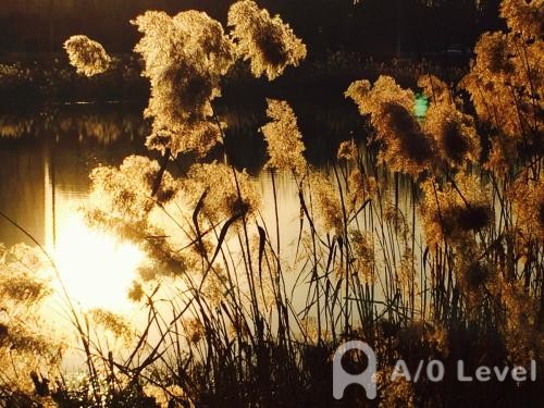 A-Level物理：质点的运动和力的知识点AOLevel考试资讯网_A-Level与O-Level考试培训网