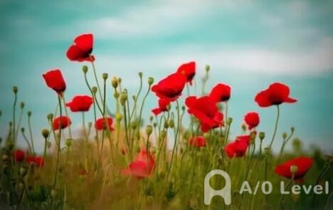 A-Level化学考试备考千万别这么做AOLevel考试资讯网_A-Level与O-Level考试培训网