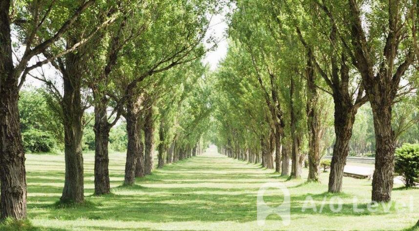 A-Level生物考试备考知识点汇总AOLevel考试资讯网_A-Level与O-Level考试培训网