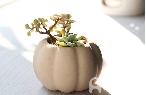 A-Level地理考试关于气候的内容问答AOLevel考试资讯网_A-Level与O-Level考试培训网