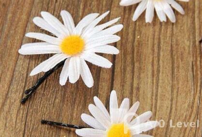 A-Level地理考试备考必看知识点AOLevel考试资讯网_A-Level与O-Level考试培训网