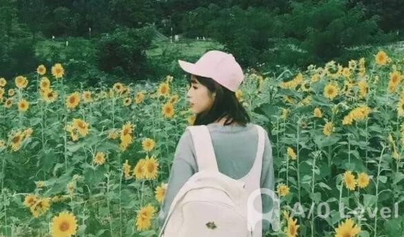 A-Level英语考试备考高级词组盘点（上）AOLevel考试资讯网_A-Level与O-Level考试培训网